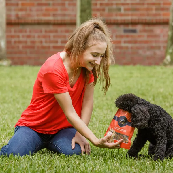 Woman kneeling on the grass to give a black poodle a treat from a bag of Nala's
